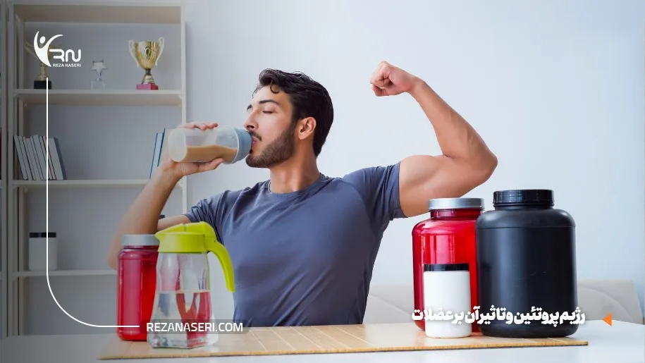 رژیم پروتئین و تاثیر بر روی عضلات